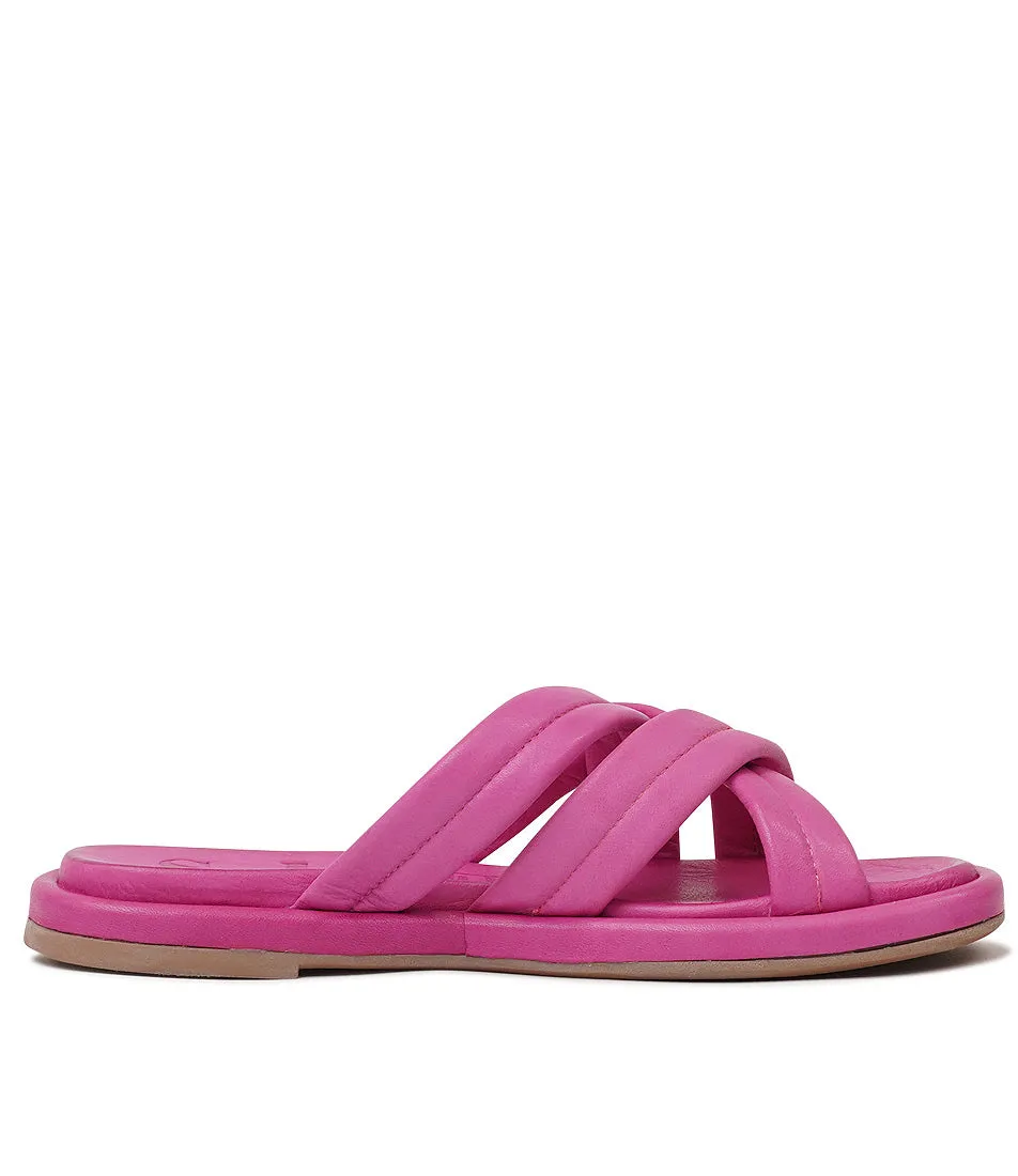 Beach- Fuchsia