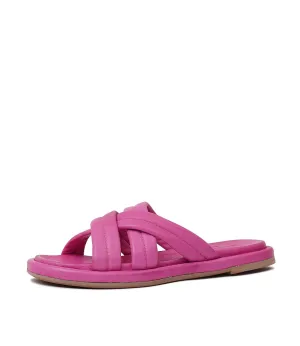 Beach- Fuchsia