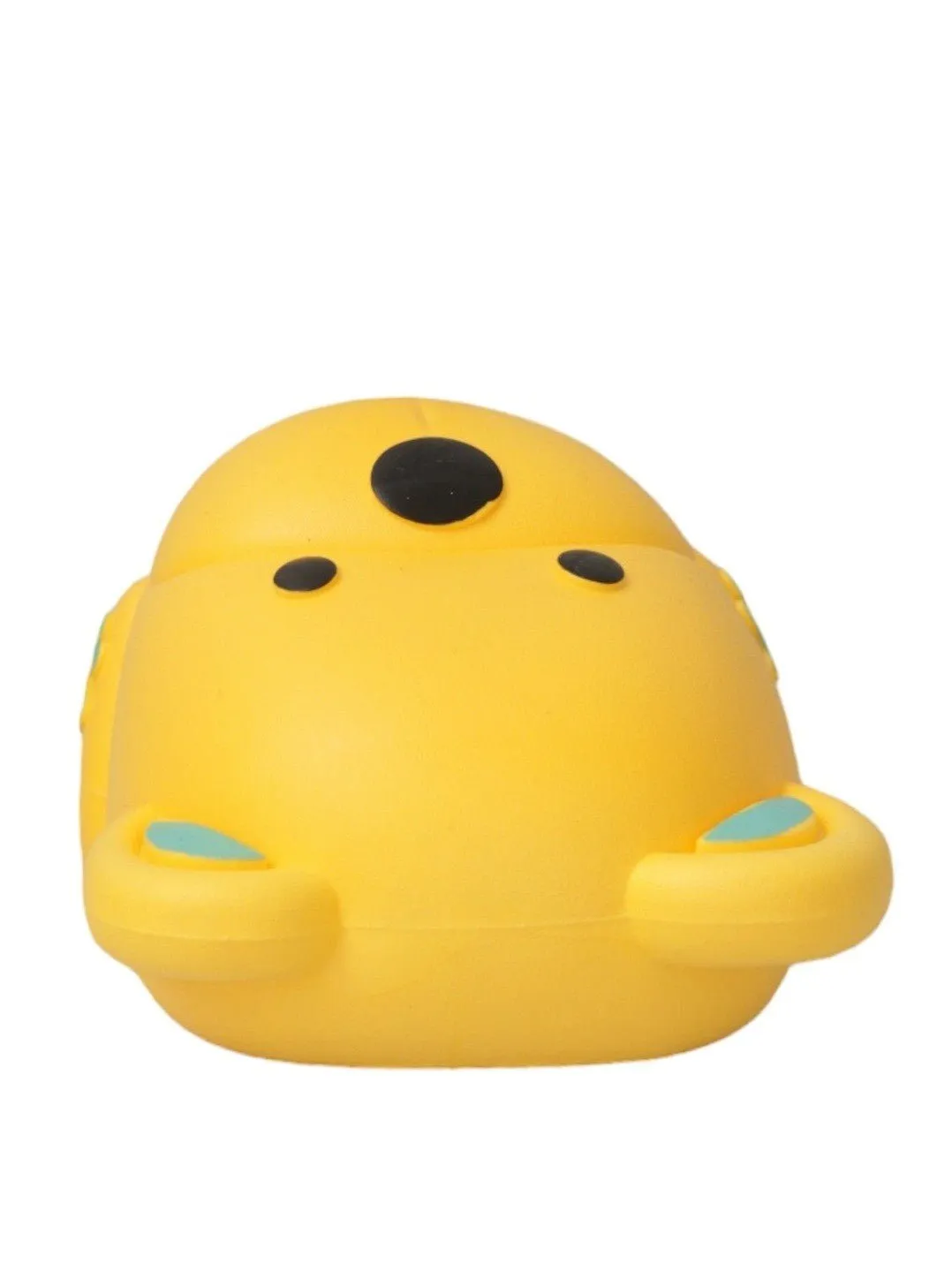 Cheerful Sunny Bear Slides for Boys